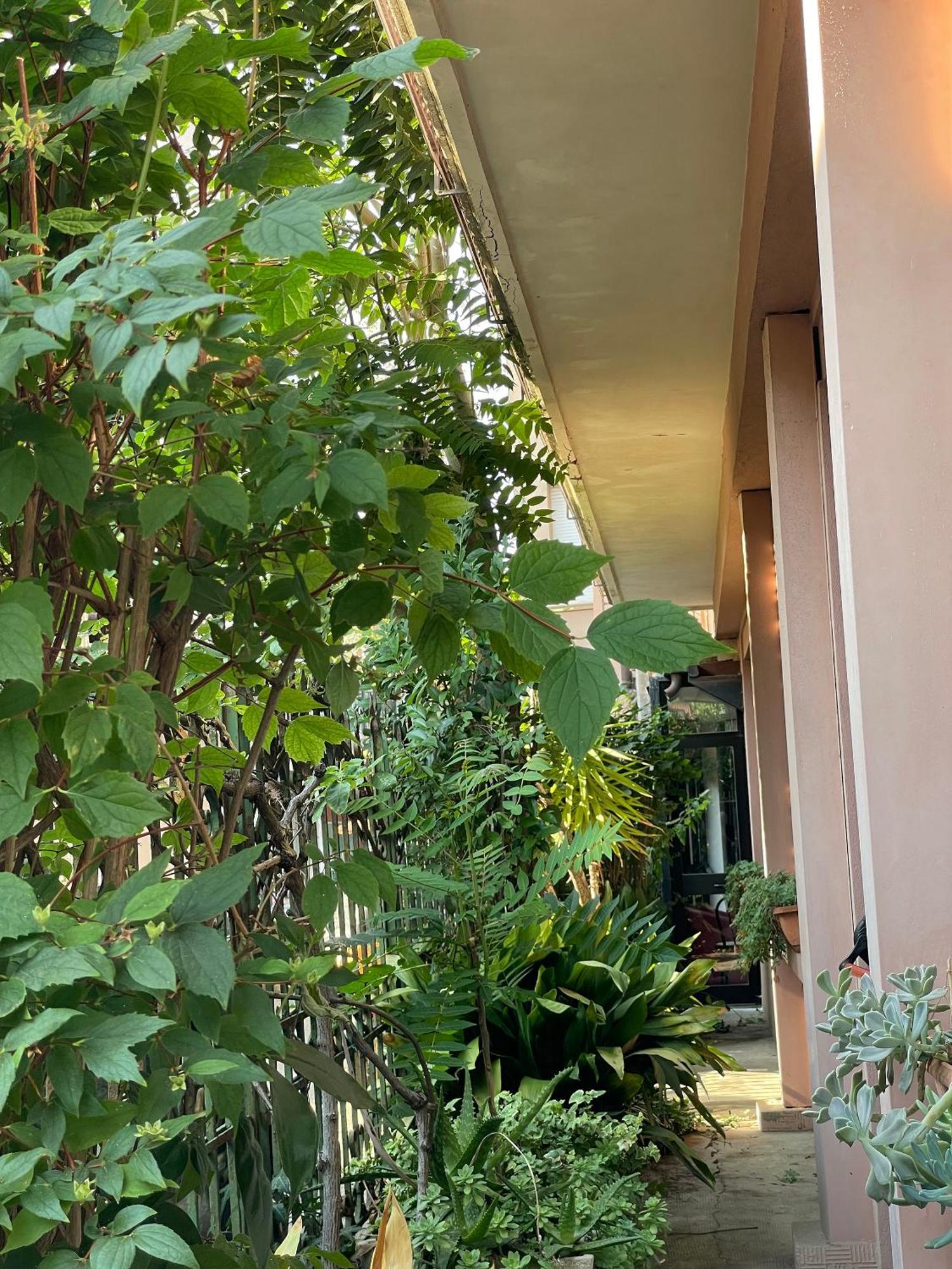 Hotel Berlino Cattolica Zewnętrze zdjęcie